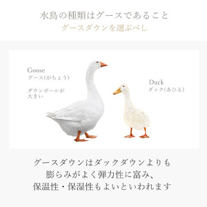 800FP本掛け　シングル（ポーランド産ホワイトマザーグースダウン使用）