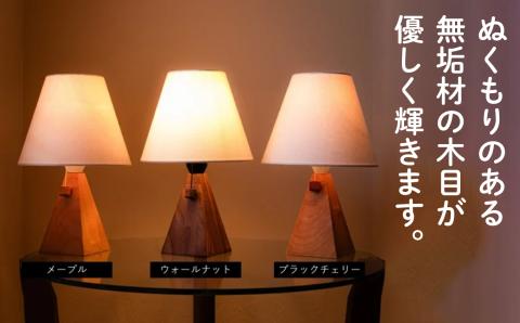 ソリッドランプ　　068002
