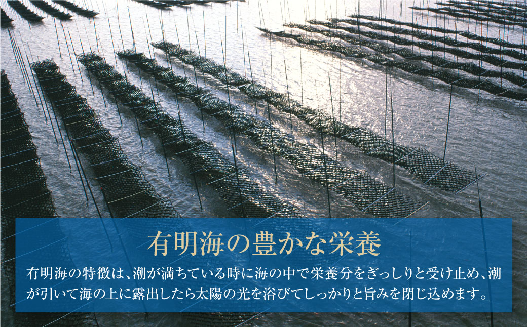 有明海産 焼き海苔 ボトル4本（10切100枚×4本 計400枚)定期便(毎月×6回)