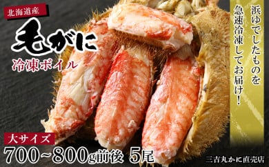 【大サイズ】北海道産 冷凍ボイル毛ガニ (700g-800g前後) 5尾 AS126