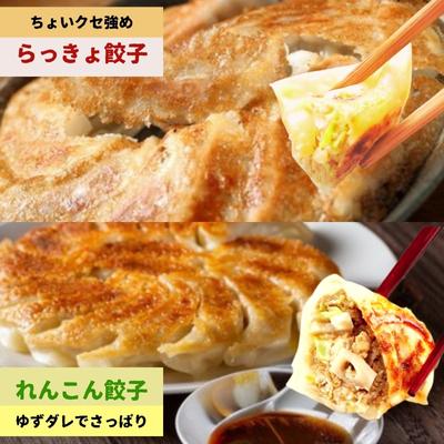 ふるさと納税 鳴門市 豪華鳴門餃子セット |  | 01