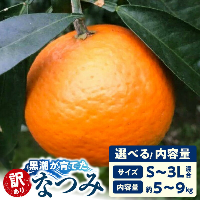 【ふるさと納税】【限定】 訳あり 家庭用 黒潮が育てた なつみ カラマンダリン 選べる 内容量 約 5kg 9kg S ～ 3L サイズ混合 みかん オレンジ 和歌山県 湯浅町 送料無料