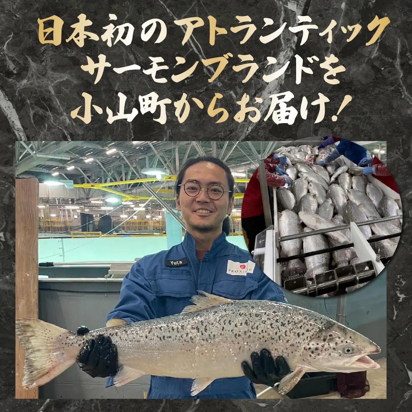 スモークサーモン・グラブラックス 約100g×12P 国産サーモン