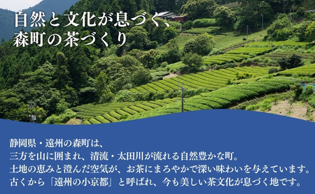 訳あり 静岡茶 100g 5袋 セット 詰め合わせ お茶 茶 日本茶 深蒸し茶 茶葉 緑茶 煎茶 お茶っぱ 静岡のお茶 飲料 飲み物 ドリンク 訳アリ 静岡 静岡県 森町