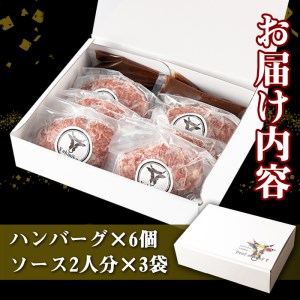 s394 A4・A5等級鹿児島県産黒毛和牛100％使用！プレミアムハンバーグ(計6個・特製デミソース付)【焼肉一福】