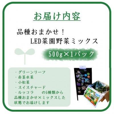 ふるさと納税 吉岡町 品種おまかせ!LED菜園野菜ミックス 500g×1パック |  | 02