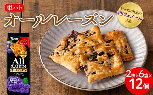 
            東ハト オールレーズン 2枚×6袋×12個
※着日指定不可 FAA-074
          