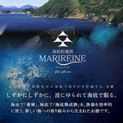 ふるさと納税 佐伯市 海底貯蔵ワイン 赤 MARIREINE ヴァンプレッショニスト ピュール サン シラー マルスラン |  | 02