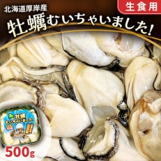 北海道厚岸産 牡蠣むいちゃいました!(生食用) 500g