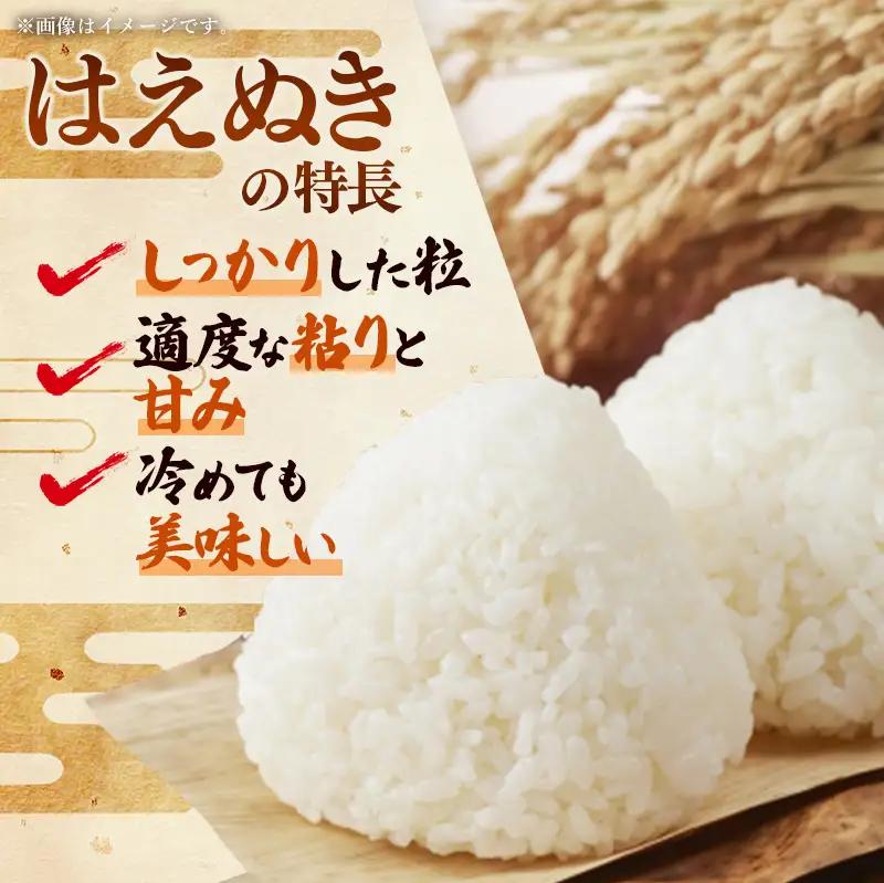 令和８年産 はえぬき 白米 20kg (5kg×4袋) - 山形県 飯豊町産 米 精米 品種 銘柄 ブランド米 ご飯 ごはん おすすめ 送料無料