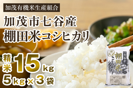 【令和7年産新米先行予約】 七谷産 棚田米コシヒカリ 精米15kg（5kg×3） 《10月中旬から順次出荷》 白米