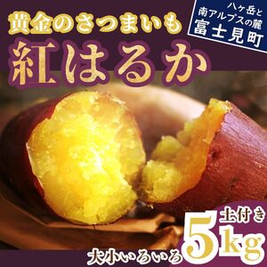 黄金のさつまいも 紅はるか 5kg サツマイモ 薩摩芋 芋 おやつ 野菜 いも 焼き芋 黄金村 ゴールデン・エンタープライズ株式会社 信州 長野県 富士見町