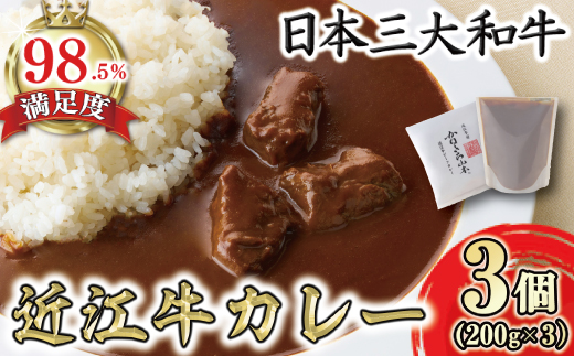 【カネ吉山本】近江牛ビーフカレー（200g×3個入り）【Y185W】