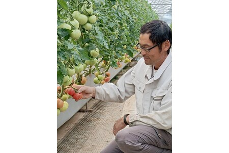 京丹後産・京トマト 2kg（8～10玉） 春夏発送