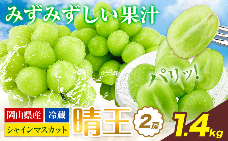 
            【2026年先行予約】シャインマスカット 岡山県産 シャインマスカット 晴王 2房 約1.4kg《2026年9月上旬-10月末頃出荷(土日祝除く)》 ハレノフルーツ マスカット 送料無料 岡山県 浅口市 フルーツ 果物 贈り物 ギフト 国産 岡山県産 くだもの 青果物【配送不可地域あり】
          