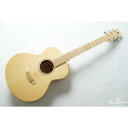 【ふるさと納税】【ギター】NAGI GUITARS shiro mini