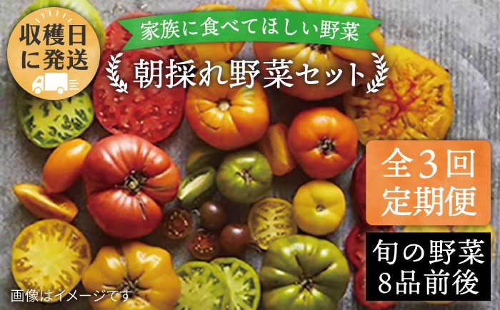 
                  【全3回定期便】【福岡県 糸島産】朝採れ 野菜 セット（8品前後) 《糸島》【オーガニックナガミツファーム】 	[AGE006]
                