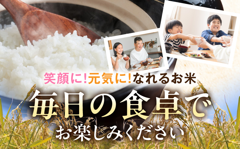 ≪6回お届け!≫都城産米と国産米ブレンド 5kg_T66-6-33-001-5kg
