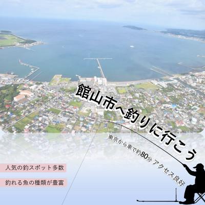 ふるさと納税 館山市 ブルーブルールアーBlooowin!140Sサンセットダイヤモンド富士 ふるさと納税限定カラー |  | 02