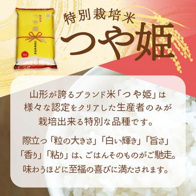 ふるさと納税 庄内町 【6か月定期便】庄内米 つや姫 無洗米 10kg<5月下旬発送>ブランド米 米 お米の定期便 |  | 01