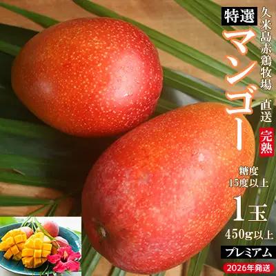 マンゴー【2026年発送】久米島赤鶏牧場 直送！糖度15度以上「プレミアム」完熟マンゴー 1玉（450g以上）アーウィン 