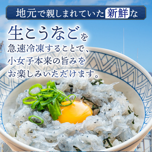 小女子 こうなご 刺身 1kg ＼ 刺身 ／