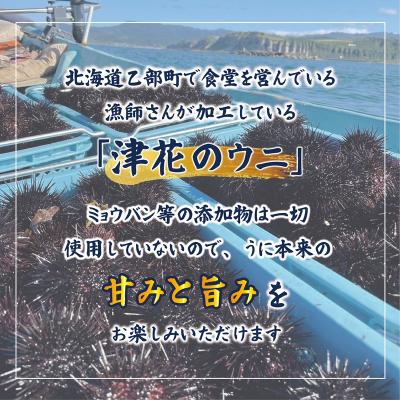 ふるさと納税 乙部町 漁師の手作り本物の味!生塩水ウニ ミョウバン不使用【津花食堂 塩水ウニ:100g×2パック】 |  | 01