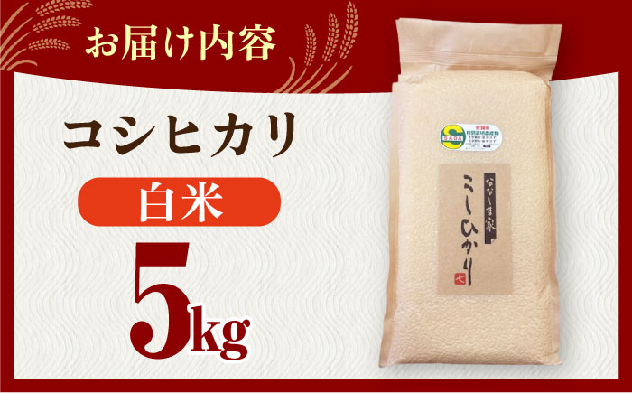 令和7年産 ななしま家 コシヒカリ 5kg / 精米 / 佐賀県 / 有限会社七島農産 [41AHAC001]