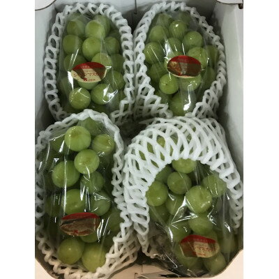 【ふるさと納税】ご家庭用　シャインマスカット　約2kg【配送不可地域：離島・北海道・沖縄県】【1715269】
