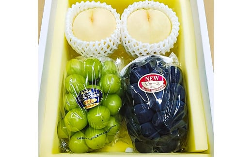 詰合 ／ 白桃 2玉（1玉220g以上） ・ ニューピオーネ 1房 （480g以上） ・ シャインマスカット 1房 （晴王 ・ 480g以上） 化粧箱入り 【2026年7月下旬～8月上旬まで発送予定】