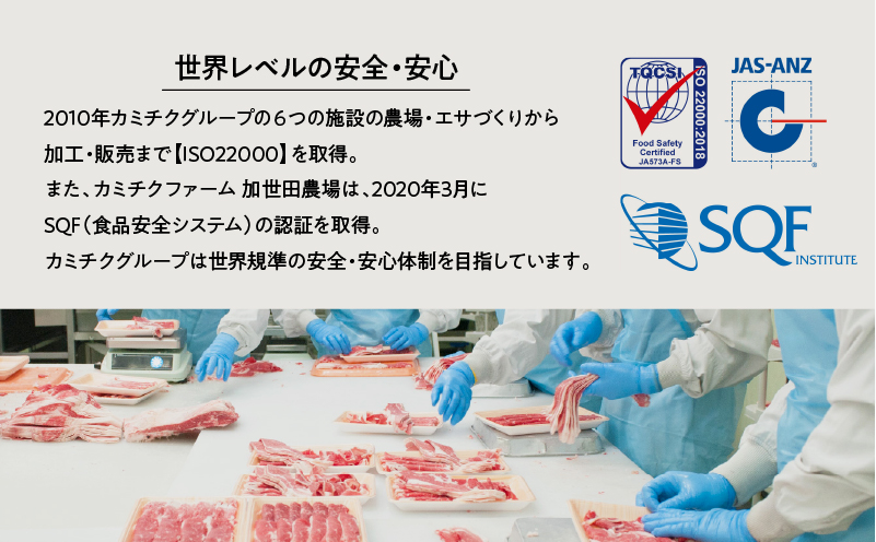 ＜お試し＞A5等級 鹿児島県産 黒毛和牛 赤身 ステーキ 400g　K002-050_04