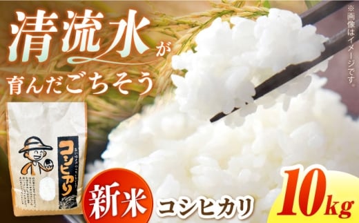 ＜令和7年度産 新米＞ コシヒカリ 10kg 米 白米 国産 新米 岐阜 白川町 / 健康農園 [AWBW002]