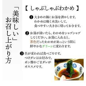 先行予約 早採り生わかめ 1kg (500g×2) わかめ