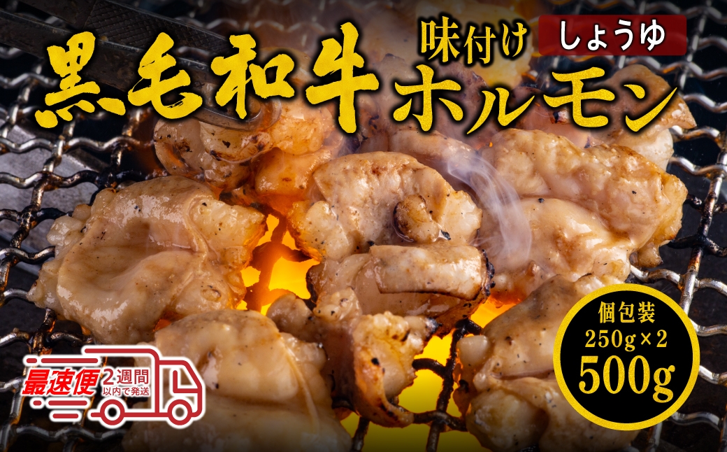 
            国産黒毛和牛 タレ漬けホルモンミックスしょうゆ250g x 2袋　焼肉用 ホルモン 肉 小分け 冷凍 ギフト 大容量

          