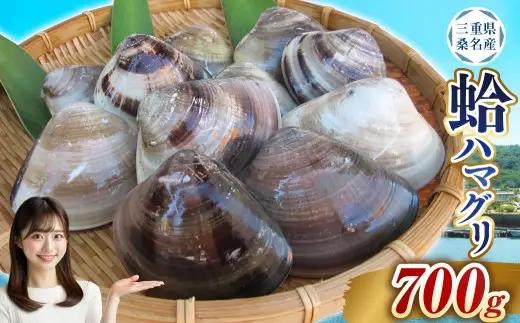 【指定日必須】 丸元水産 桑名産蛤（ハマグリ）0.7kg はまぐり ハマグリ 蛤 天然 活 砂抜き済 肉厚 BBQ キャンプ 網焼き 魚介 貝 魚貝 活はまぐり 焼きはま 海鮮 網焼き 酒蒸し お吸い物 パエリア パスタ 桑名 日にち指定【2025年9月下旬から2026年6月下旬発送予定】