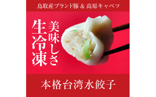 
0854 台湾水餃子(豚水餃子)60個セット
