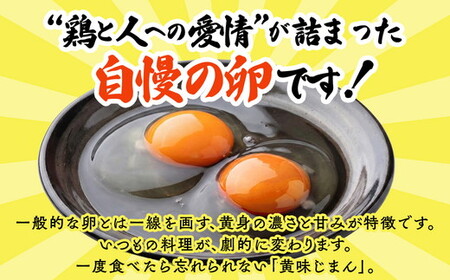 【10か月定期便】君嶋養鶏園のたまご Lサイズ 30個（27個＋割れ補償3個）×10ヶ月 計300個 | 定期便 10ヶ月 10か月 10ヵ月 卵 玉子 たまご 赤卵 赤たまご 生卵 国産 濃厚 鶏卵