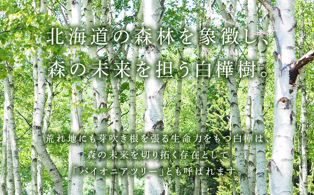 北海道中川町産　白樺キューブネックレス(赤)