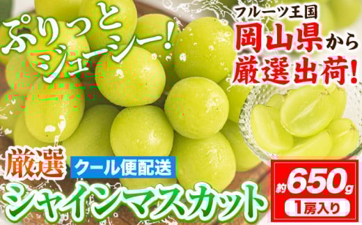 【先行予約】シャインマスカット 岡山 約650g 1房  《2025年9月上旬-11月中旬頃出荷》厳選 旬 ぶどう ブドウ 葡萄 マスカット 果物 フルーツ ギフト 岡山県 笠岡市 訳あり クール便 爽やか 贅沢