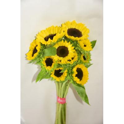 ふるさと納税 田舎館村 【2026年発送】ひまわり(切り花3種類)合計30本 |  | 02