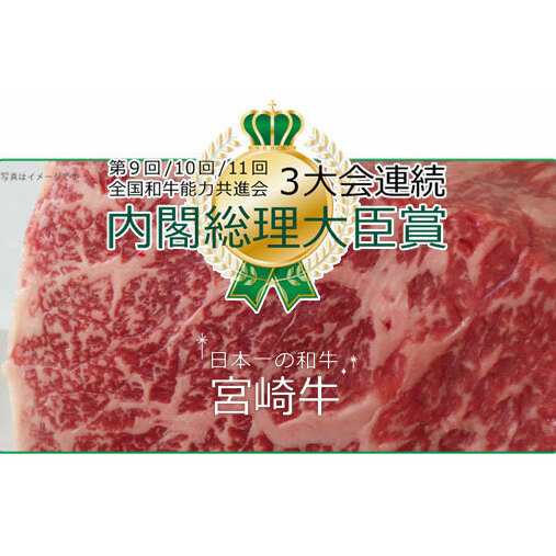 3回 定期便 宮崎牛 焼き肉 食べ比べ 3ヶ月コース 合計2.2kg [SHINGAKI 宮崎県 美郷町 31ag0089] ウデ 腕 バラ カルビ クラシタ モモ 三角バラ ヒレ フィレ ヘレ サイ