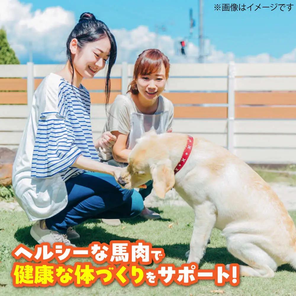 【全3回定期便】ペット用 馬刺し ジャーキー 約100g ペット用 BHCY062