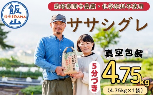 【令和7年産】幻のお米 ササシグレ 5分つき 4.75kg 《 栽培期間中 農薬・化学肥料不使用 》やよい農園 (7-90)