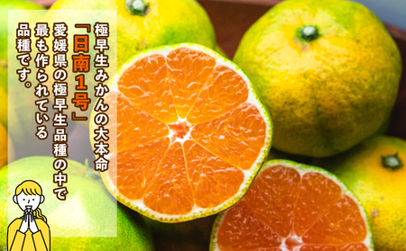蜜柑 愛媛 極早生 みかん 日南1号 5kg S~L サイズ 混合 先行予約 コルレオファーム 極早生みかん mikan さっぱり 爽やか 甘味 酸味 果物 フルーツ 柑橘 農家直送 産地直送 数量限