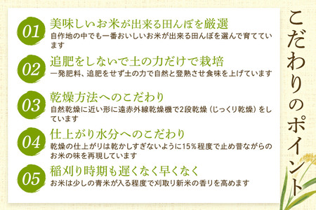 《令和7年産 新米受付》【白米】秋田県産 あきたこまち ヤチ田で育てたお米 精米 10kg