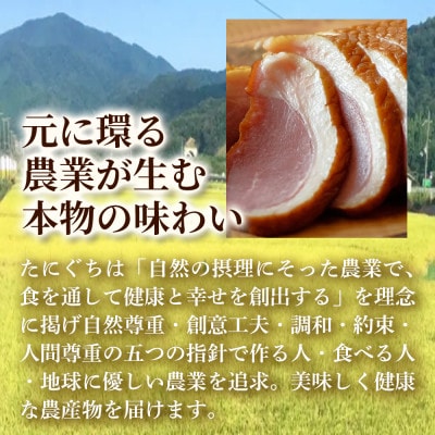 【家族や友人と囲むごちそう鍋】但馬鴨鍋パーティーセット(6～8人前)大人数で楽しむ贅沢鍋【配送不可地域：離島】