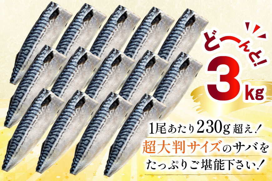 訳ありトロ 塩さば LLサイズ フィレ 3kg ★フィレ1枚250g超え！[足利本店 宮城県 気仙沼市 20565620] 魚介類 魚 海鮮 鮮魚 サバ さば 鯖 サバフィレ サバフィーレ 鯖フィレ 