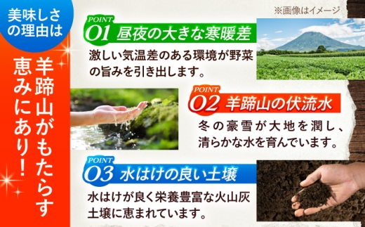 【2027年1月上旬以降順次発送】 じゃがいも 食べ比べセット（男爵・きたかむい）計20kg （10kg×2種） | じゃがいも ジャガイモ 男爵芋 きたかむい 北海道 産地直送 セット 先行予約 |
