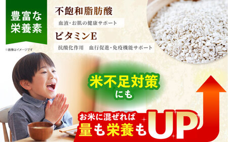 胚芽押麦 500g＜1等麦使用＞江北町産 サチホゴールデン【葦農】 [HAJ002] 雑穀米 サチホゴールデン