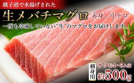 メバチマグロ 刺身 500g マグロ